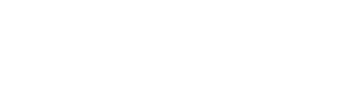 Level logo